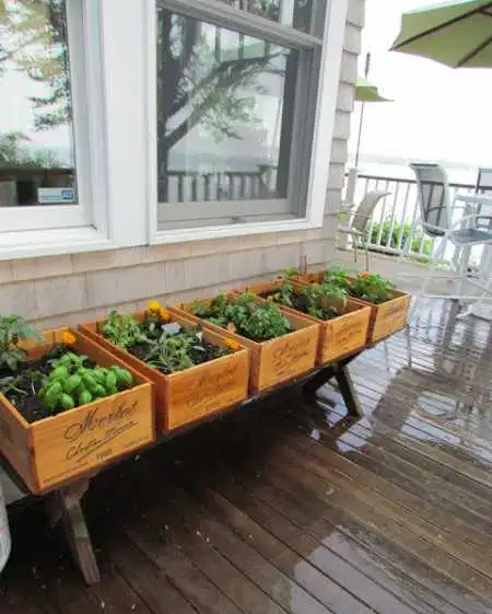 Tips for Cultivating a Bountiful Home Garden