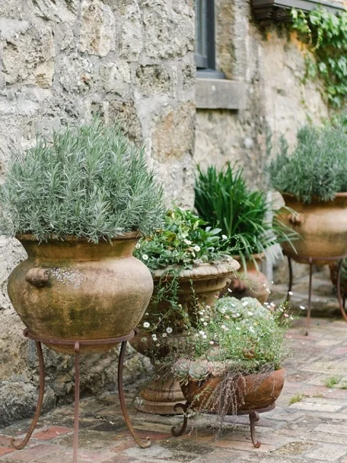 Top Creative Ways to Design a Beautiful Patio Garden