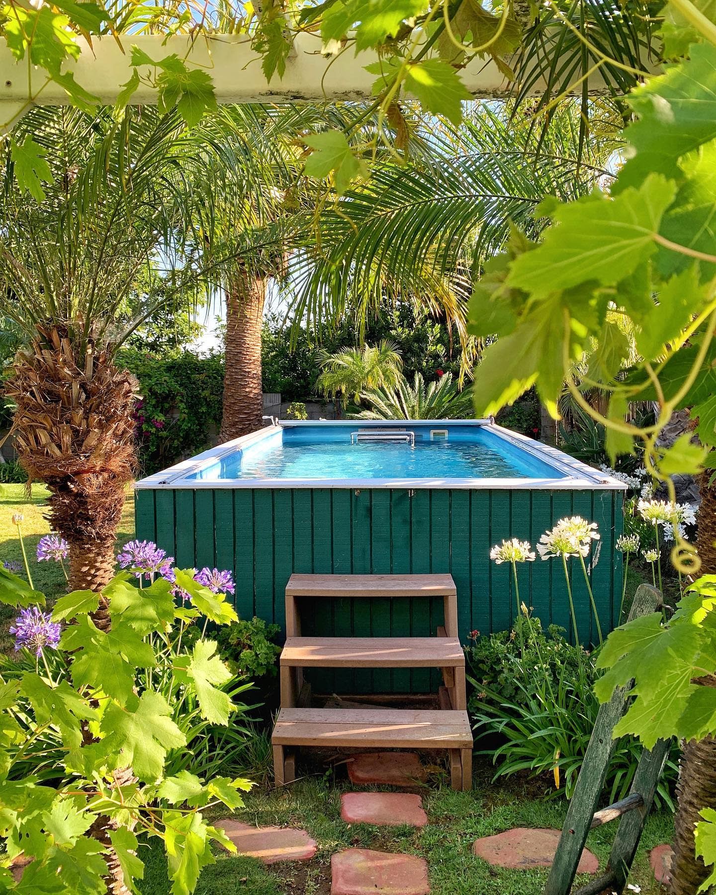 Transform Your Backyard into a Pool Paradise