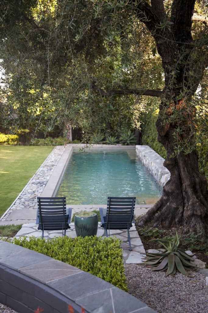 Transform Your Backyard with a Stunning Pool Design