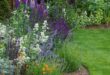 front yard cottage garden ideas