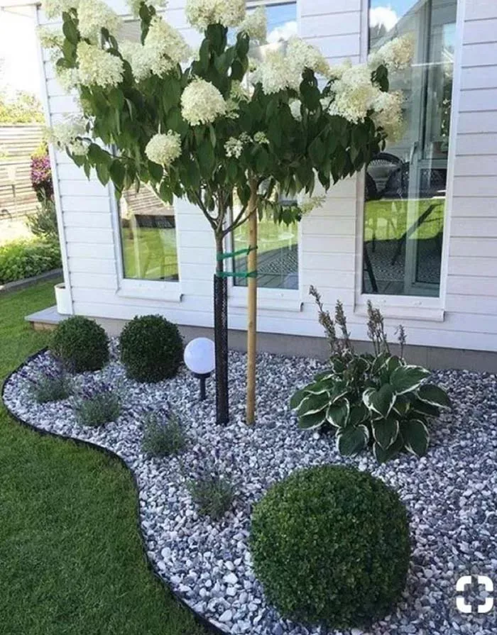 landscape ideas front yard