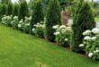 front lawn landscape ideas