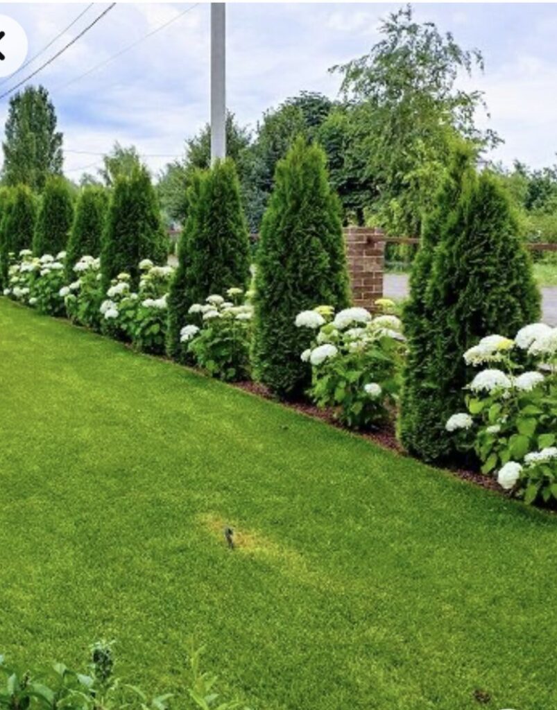 front lawn landscape ideas