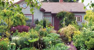 front yard landscaping