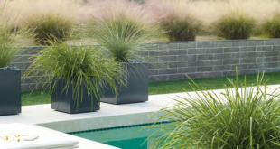 landscaping with ornamental grasses