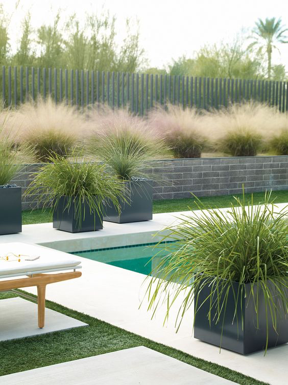 Transform Your Outdoor Space: Discover the Beauty of Ornamental Grasses in Landscaping