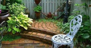 patio garden ideas