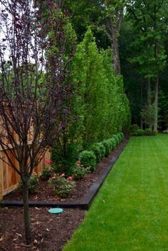 backyard landscaping ideas