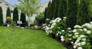 backyard landscaping ideas