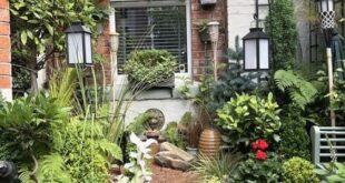 courtyard garden ideas