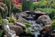 backyard pond