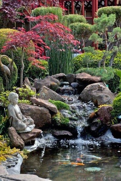 Transform Your Outdoor Space with a Charming Backyard Pond