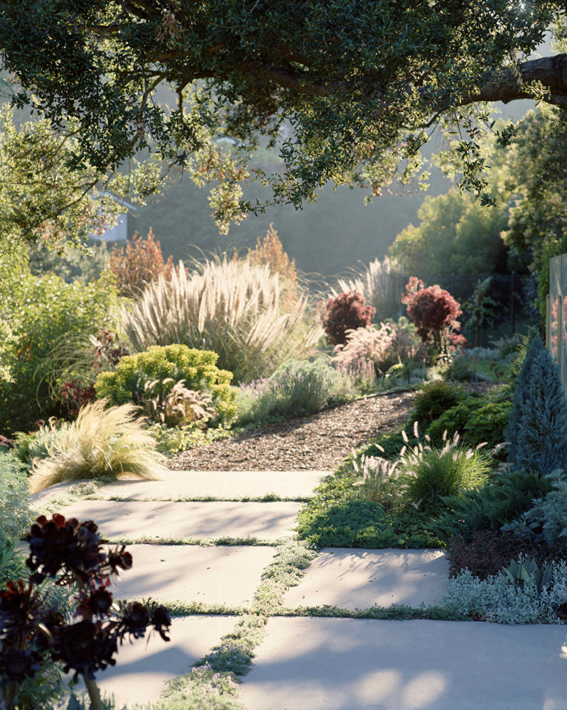 Transform Your Outdoor Space with a Stunning Landscape Garden