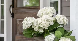 spring porch decor