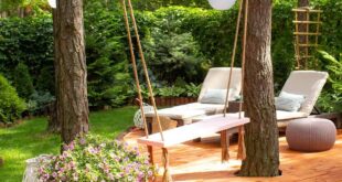 landscaping backyard ideas