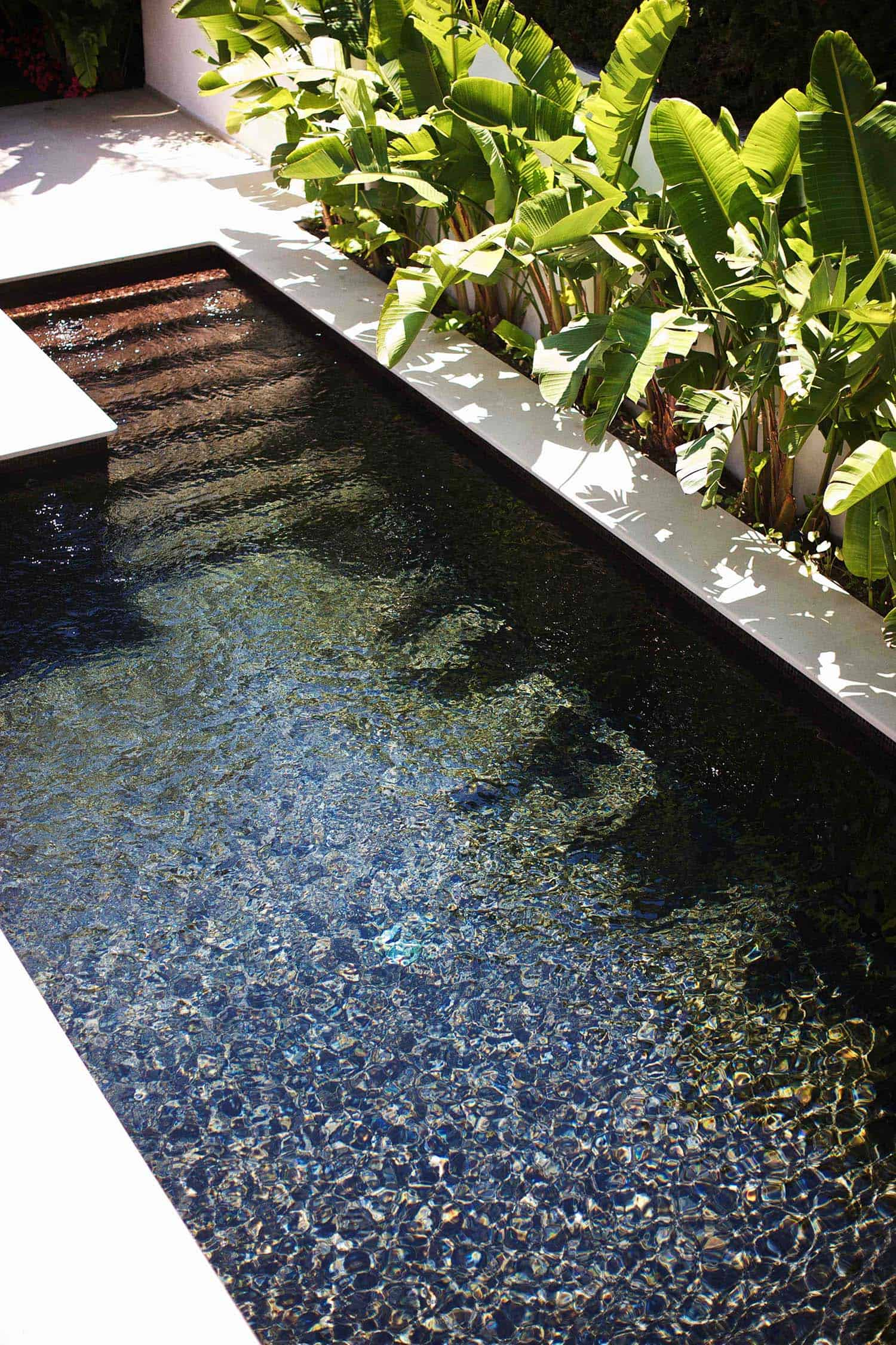 Transforming Your Backyard into a Pool Paradise