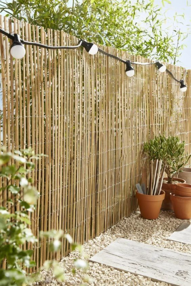 Transforming Your Backyard with Easy Fence Line Landscaping