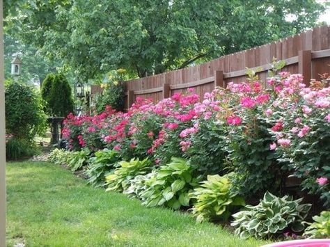 Transforming Your Backyard with Stunning Landscaping