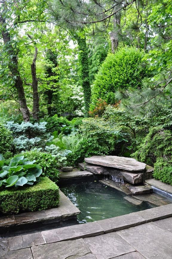 Transforming Your Backyard with a Beautiful Garden Pond