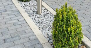 landscaping driveway