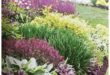 front lawn landscape ideas