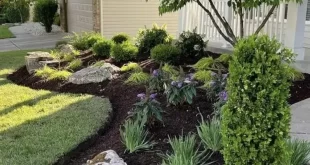 front yard ideas