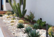 desert landscaping front yard