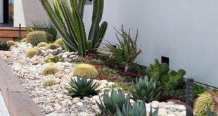 desert landscaping front yard