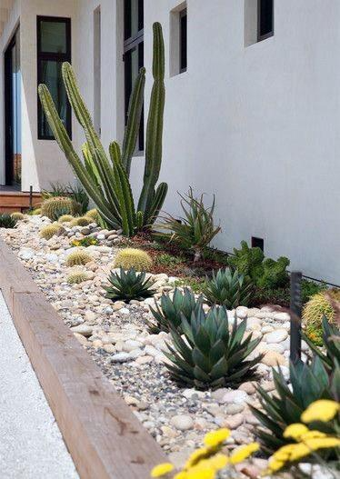 desert landscaping front yard