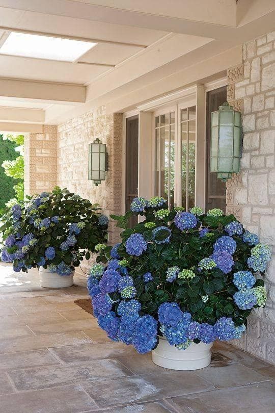 Transforming Your Front Yard with Stunning Landscaping