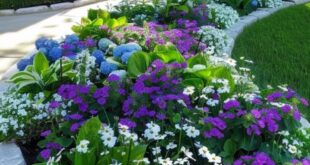 landscaping flower beds