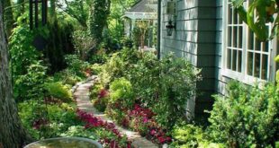 landscaping garden ideas