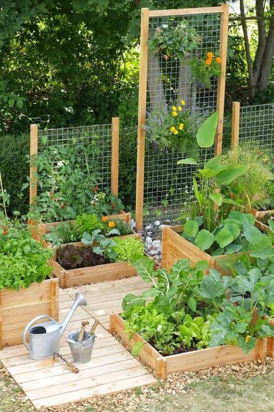 Transforming Your Garden with DIY Projects for Small Spaces