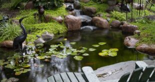 backyard landscaping