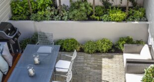 courtyard garden ideas