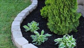 landscaping your yard