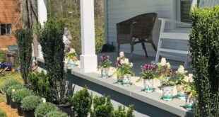 landscaping in front of porch