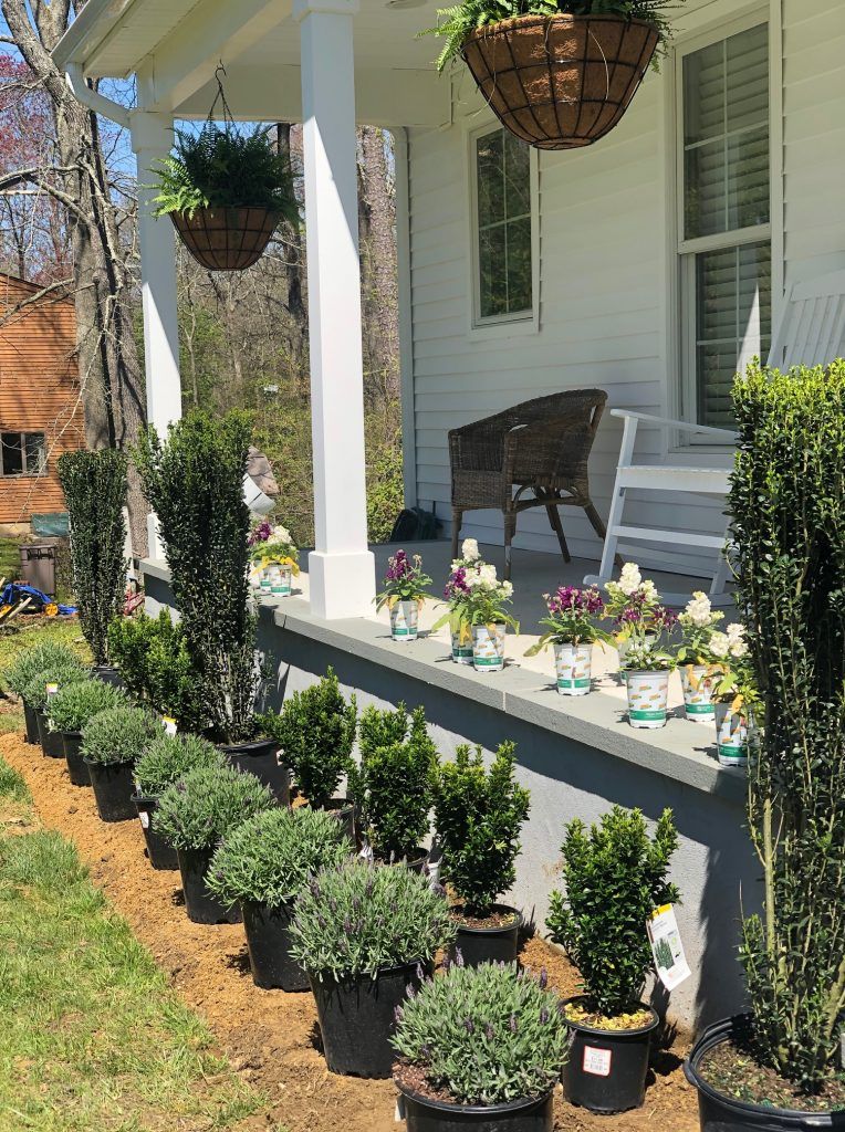 landscaping in front of porch