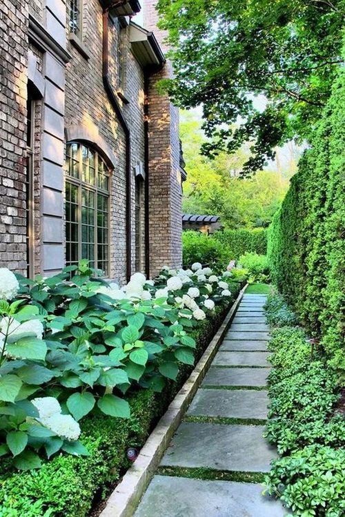 side yard landscaping