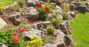 landscaping sloped backyard