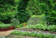 landscaping vegetable garden