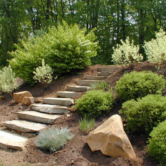 Transforming a Sloped Yard: A Beginner’s Guide to Landscaping on an Incline