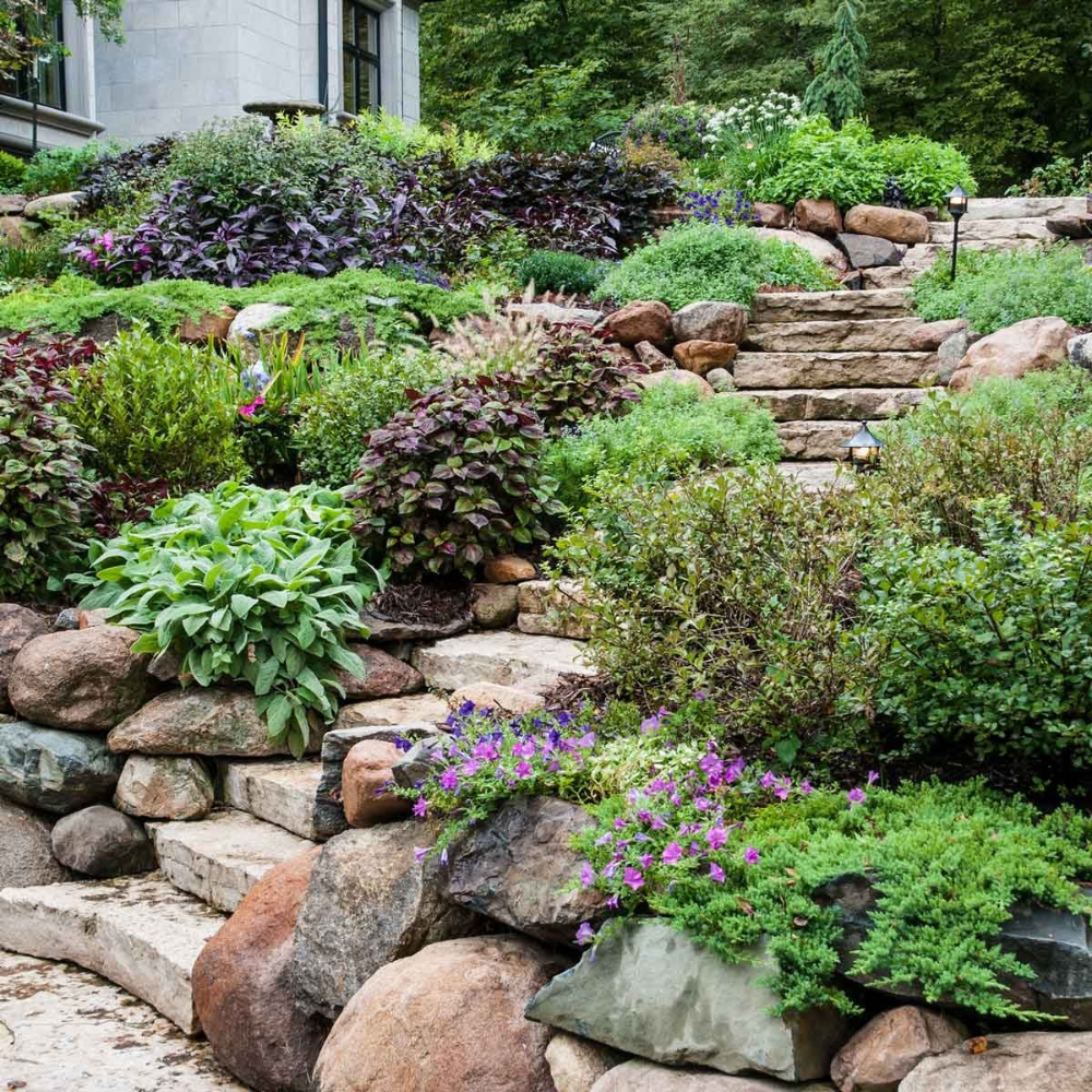 landscaping hillside