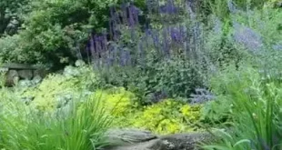 landscaping hillside