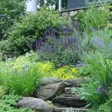 Transforming a Sloping Site: The Art of Hillside Landscaping