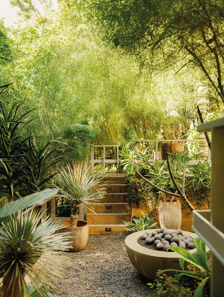 Transforming a Steep Backyard with Creative Landscaping