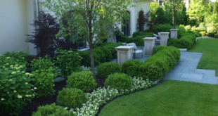 landscaping front of house