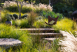 landscaping hillside