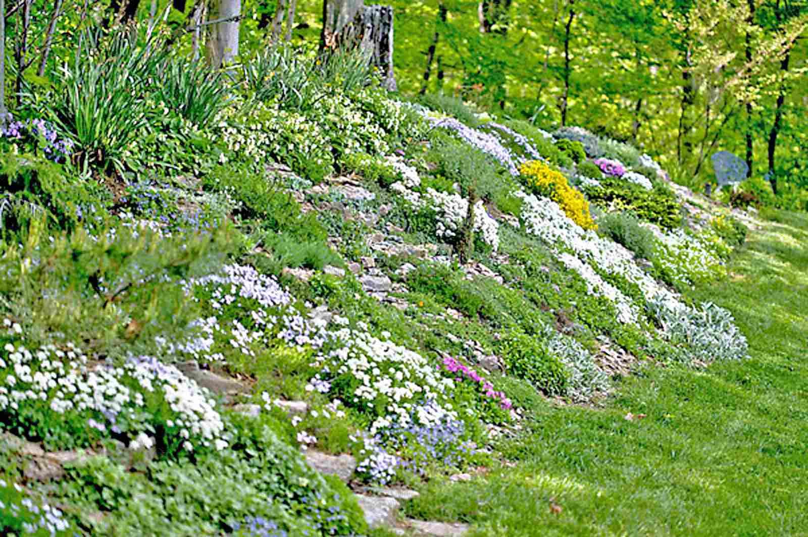 Transforming the Sloping Terrain: A Guide to Landscaping Hillside